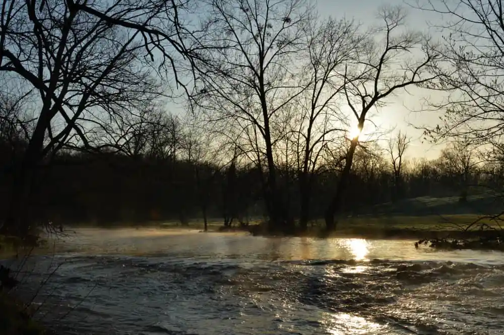 Beargrass Creek