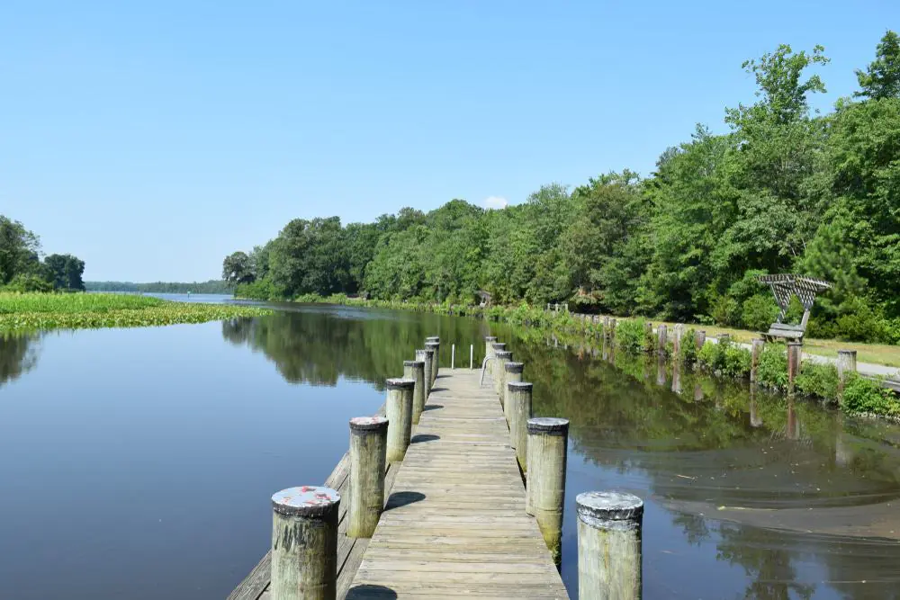 Martinak State Park