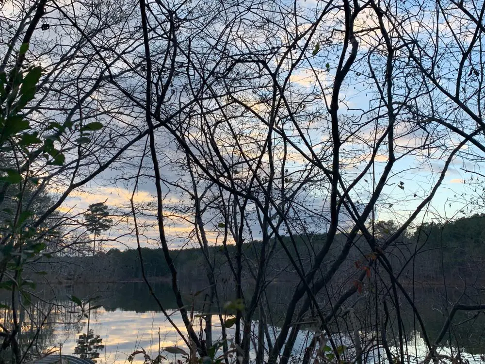 Tribble Mill Park