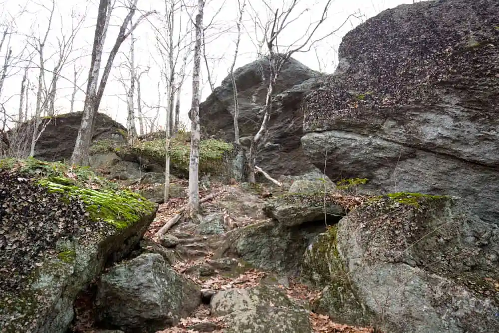 Tunxis Trail