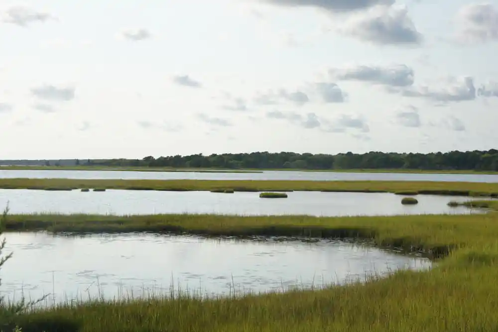 Waquoit Bay National Estuarine Research Reserve